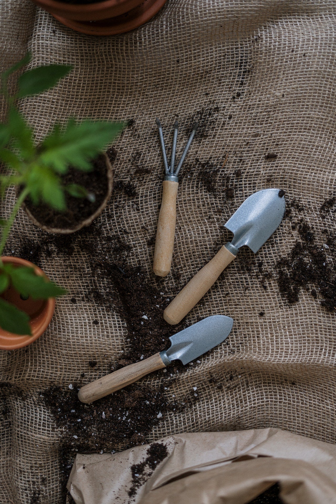 Yard & Garden
