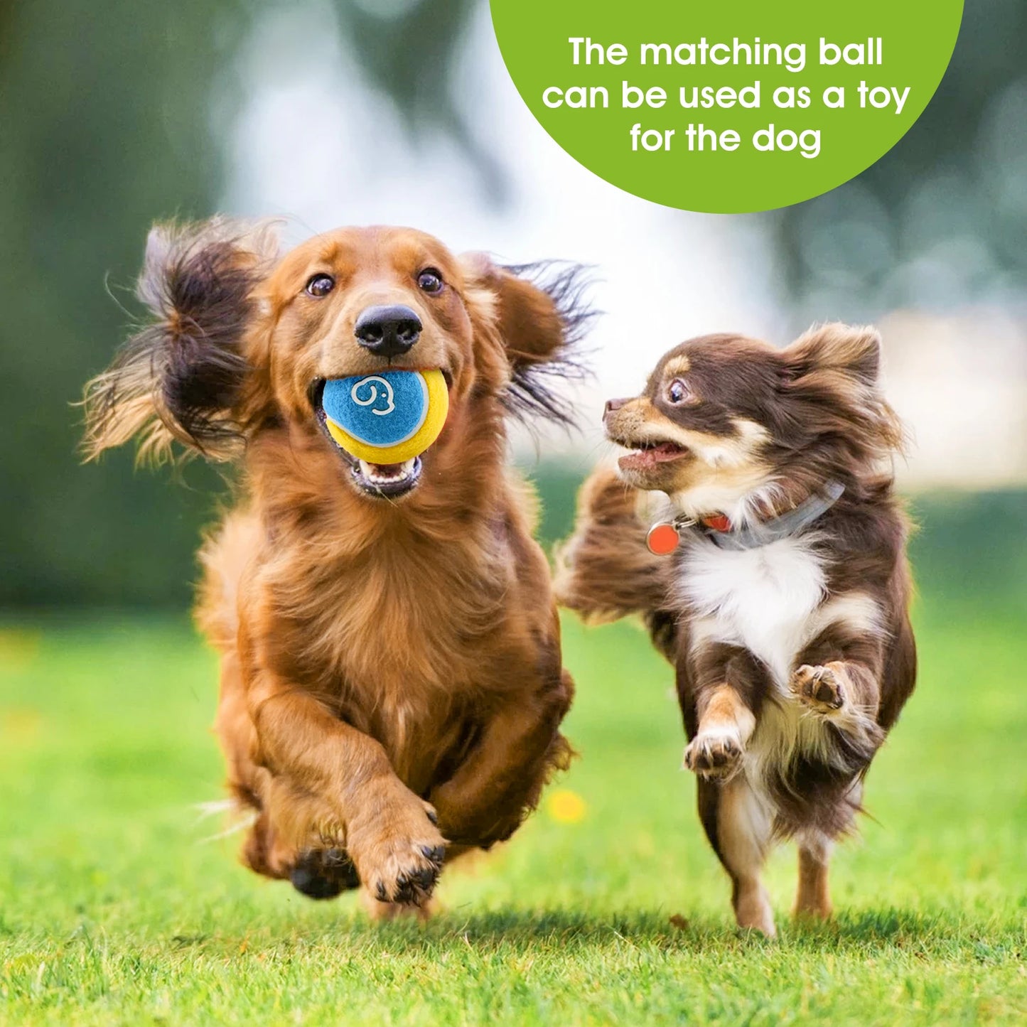 Superdesign Pet Throwing Toy And Interactive Training Device