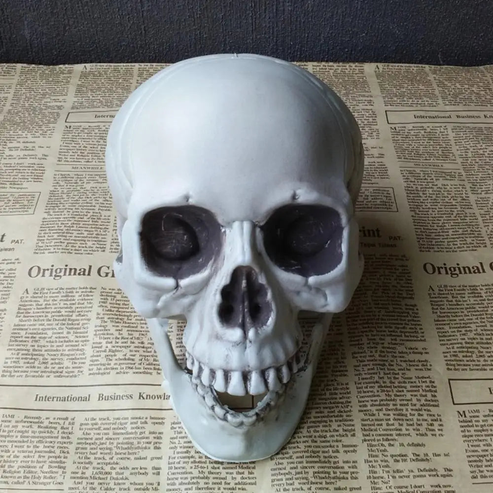 1Pcs Plastic Skull Head Figurine Statue Artificial Scary Bone Skeleton Decorative Sculpture for Bar Party Home Halloween Decor