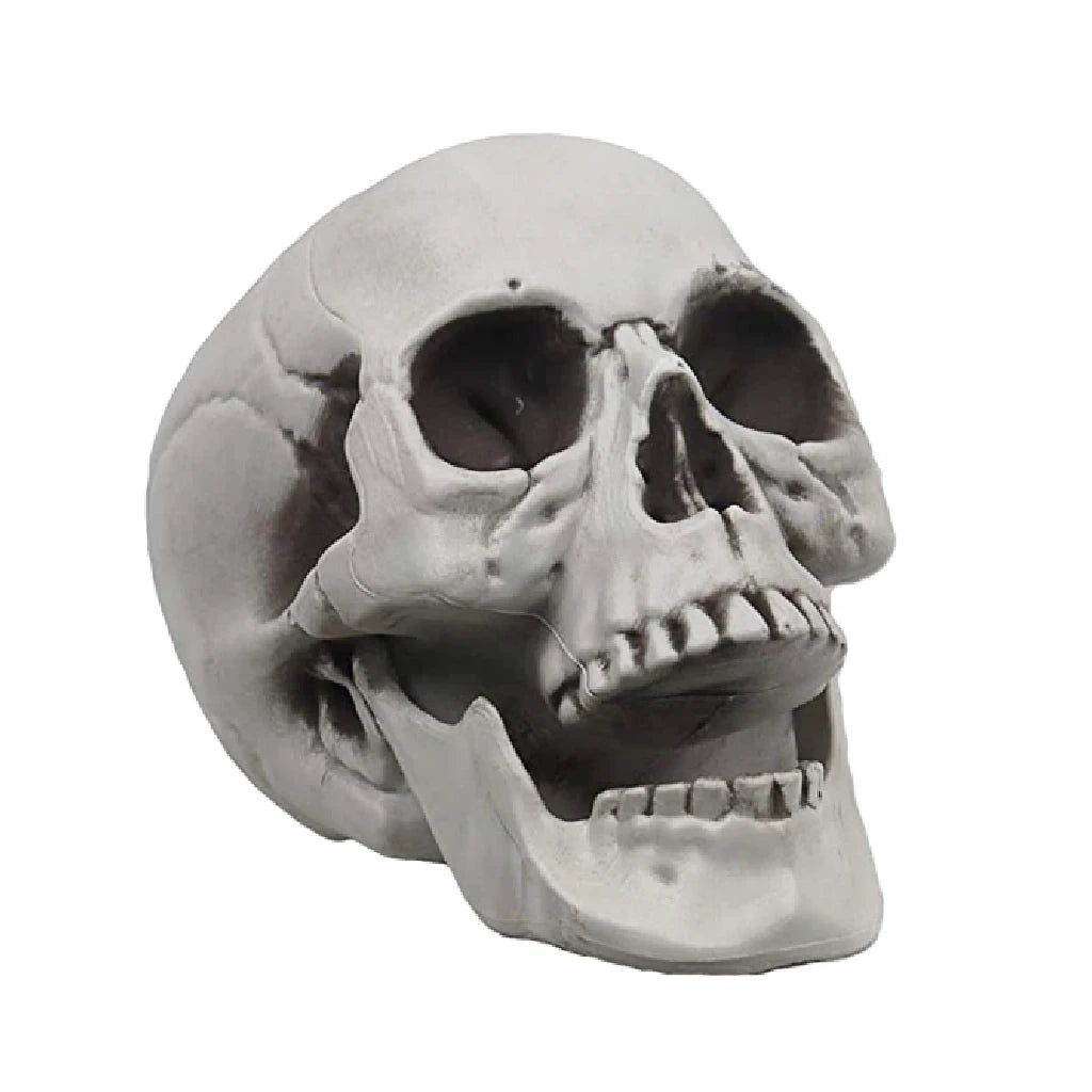 1Pcs Plastic Skull Head Figurine Statue Artificial Scary Bone Skeleton Decorative Sculpture for Bar Party Home Halloween Decor
