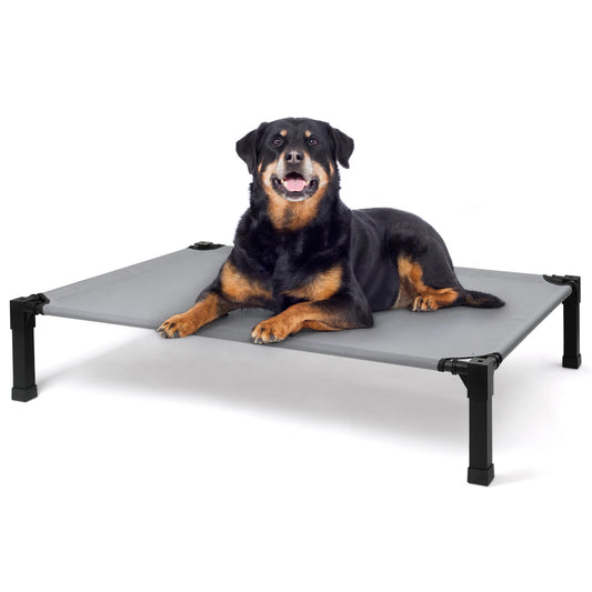 Elevated Dog Bed With Cooling Raised Cot And Breathable Mesh