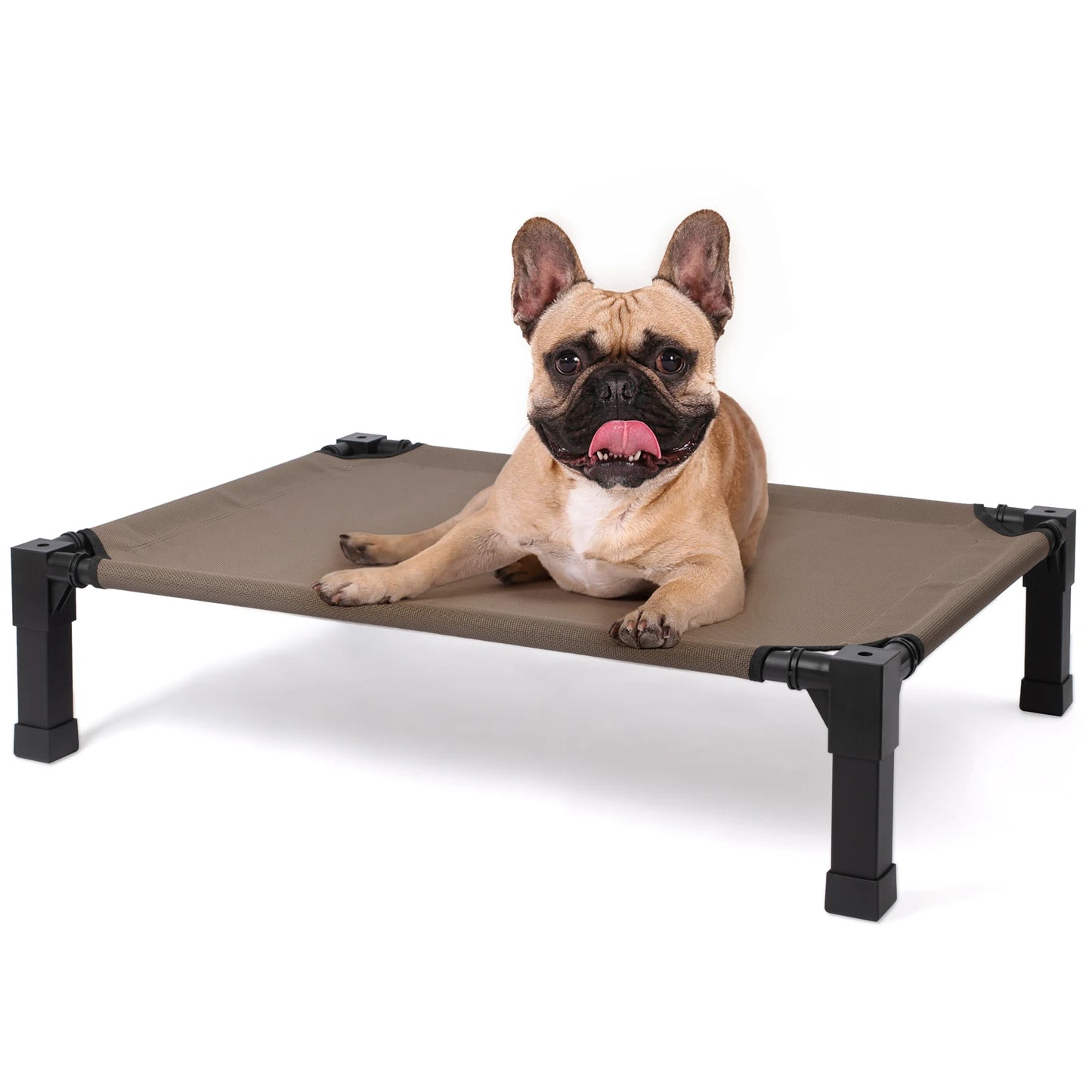 Elevated Dog Bed With Cooling Raised Cot And Breathable Mesh